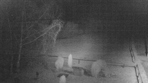 Horský hotel Čarták na Soláni - Ski Čarták Soláň - 16.11.2023 v 21:00 Horský hotel Čarták na Soláni - Ski Čarták Soláň - 16.11.2023 v 21:00