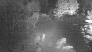 Horský hotel Čarták na Soláni - Ski Čarták Soláň - 19.11.2023 v 00:00 Horský hotel Čarták na Soláni - Ski Čarták Soláň - 19.11.2023 v 00:00