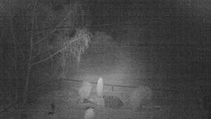 Horský hotel Čarták na Soláni - Ski Čarták Soláň - 19.11.2023 v 01:00 Horský hotel Čarták na Soláni - Ski Čarták Soláň - 19.11.2023 v 01:00