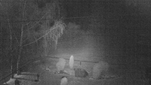 Horský hotel Čarták na Soláni - Ski Čarták Soláň - 19.11.2023 v 02:00 Horský hotel Čarták na Soláni - Ski Čarták Soláň - 19.11.2023 v 02:00