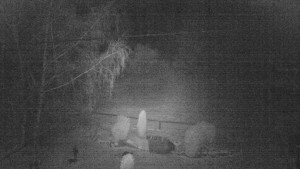 Horský hotel Čarták na Soláni - Ski Čarták Soláň - 19.11.2023 v 03:00 Horský hotel Čarták na Soláni - Ski Čarták Soláň - 19.11.2023 v 03:00