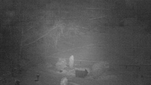 Horský hotel Čarták na Soláni - Ski Čarták Soláň - 1.12.2023 v 02:00 Horský hotel Čarták na Soláni - Ski Čarták Soláň - 1.12.2023 v 02:00