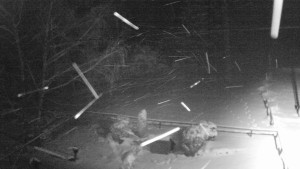 Horský hotel Čarták na Soláni - Ski Čarták Soláň - 1.12.2023 v 20:00 Horský hotel Čarták na Soláni - Ski Čarták Soláň - 1.12.2023 v 20:00