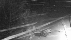 Horský hotel Čarták na Soláni - Ski Čarták Soláň - 1.12.2023 v 21:00 Horský hotel Čarták na Soláni - Ski Čarták Soláň - 1.12.2023 v 21:00