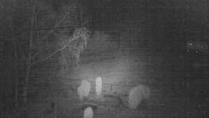 Horský hotel Čarták na Soláni - Ski Čarták Soláň - 1.1.2024 v 02:00 Horský hotel Čarták na Soláni - Ski Čarták Soláň - 1.1.2024 v 02:00