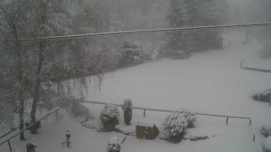 Horský hotel Čarták na Soláni - Ski Čarták Soláň - 1.1.2024 v 10:00 Horský hotel Čarták na Soláni - Ski Čarták Soláň - 1.1.2024 v 10:00