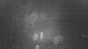 Horský hotel Čarták na Soláni - Ski Čarták Soláň - 2.2.2024 v 00:00 Horský hotel Čarták na Soláni - Ski Čarták Soláň - 2.2.2024 v 00:00