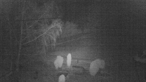 Horský hotel Čarták na Soláni - Ski Čarták Soláň - 2.2.2024 v 03:00 Horský hotel Čarták na Soláni - Ski Čarták Soláň - 2.2.2024 v 03:00