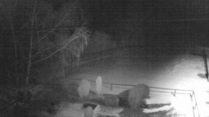 Horský hotel Čarták na Soláni - Ski Čarták Soláň - 2.2.2024 v 22:00 Horský hotel Čarták na Soláni - Ski Čarták Soláň - 2.2.2024 v 22:00