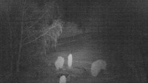 Horský hotel Čarták na Soláni - Ski Čarták Soláň - 3.2.2024 v 02:00 Horský hotel Čarták na Soláni - Ski Čarták Soláň - 3.2.2024 v 02:00