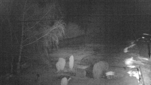 Horský hotel Čarták na Soláni - Ski Čarták Soláň - 3.2.2024 v 19:00 Horský hotel Čarták na Soláni - Ski Čarták Soláň - 3.2.2024 v 19:00