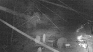 Horský hotel Čarták na Soláni - Ski Čarták Soláň - 3.2.2024 v 20:00 Horský hotel Čarták na Soláni - Ski Čarták Soláň - 3.2.2024 v 20:00