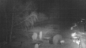 Horský hotel Čarták na Soláni - Ski Čarták Soláň - 3.2.2024 v 21:00 Horský hotel Čarták na Soláni - Ski Čarták Soláň - 3.2.2024 v 21:00