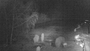 Horský hotel Čarták na Soláni - Ski Čarták Soláň - 3.2.2024 v 23:00 Horský hotel Čarták na Soláni - Ski Čarták Soláň - 3.2.2024 v 23:00