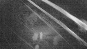 Horský hotel Čarták na Soláni - Ski Čarták Soláň - 5.2.2024 v 02:00 Horský hotel Čarták na Soláni - Ski Čarták Soláň - 5.2.2024 v 02:00