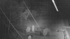 Horský hotel Čarták na Soláni - Ski Čarták Soláň - 8.2.2024 v 21:00 Horský hotel Čarták na Soláni - Ski Čarták Soláň - 8.2.2024 v 21:00