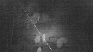 Horský hotel Čarták na Soláni - Ski Čarták Soláň - 9.2.2024 v 00:00 Horský hotel Čarták na Soláni - Ski Čarták Soláň - 9.2.2024 v 00:00