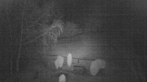 Horský hotel Čarták na Soláni - Ski Čarták Soláň - 9.2.2024 v 03:00 Horský hotel Čarták na Soláni - Ski Čarták Soláň - 9.2.2024 v 03:00