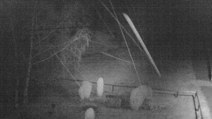 Horský hotel Čarták na Soláni - Ski Čarták Soláň - 9.2.2024 v 04:00 Horský hotel Čarták na Soláni - Ski Čarták Soláň - 9.2.2024 v 04:00