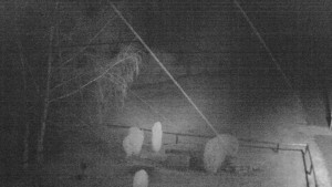 Horský hotel Čarták na Soláni - Ski Čarták Soláň - 9.2.2024 v 05:00 Horský hotel Čarták na Soláni - Ski Čarták Soláň - 9.2.2024 v 05:00