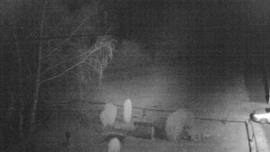 Horský hotel Čarták na Soláni - Ski Čarták Soláň - 9.2.2024 v 22:00 Horský hotel Čarták na Soláni - Ski Čarták Soláň - 9.2.2024 v 22:00