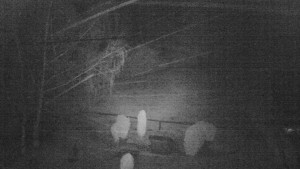 Horský hotel Čarták na Soláni - Ski Čarták Soláň - 10.2.2024 v 01:00 Horský hotel Čarták na Soláni - Ski Čarták Soláň - 10.2.2024 v 01:00