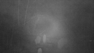 Horský hotel Čarták na Soláni - Ski Čarták Soláň - 10.2.2024 v 03:00 Horský hotel Čarták na Soláni - Ski Čarták Soláň - 10.2.2024 v 03:00