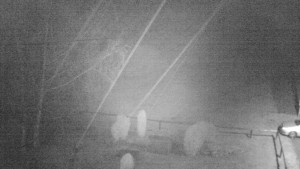 Horský hotel Čarták na Soláni - Ski Čarták Soláň - 10.2.2024 v 04:00 Horský hotel Čarták na Soláni - Ski Čarták Soláň - 10.2.2024 v 04:00