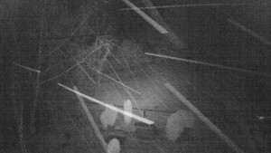 Horský hotel Čarták na Soláni - Ski Čarták Soláň - 11.2.2024 v 01:00 Horský hotel Čarták na Soláni - Ski Čarták Soláň - 11.2.2024 v 01:00