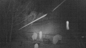 Horský hotel Čarták na Soláni - Ski Čarták Soláň - 11.2.2024 v 02:00 Horský hotel Čarták na Soláni - Ski Čarták Soláň - 11.2.2024 v 02:00