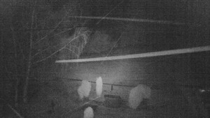 Horský hotel Čarták na Soláni - Ski Čarták Soláň - 11.2.2024 v 03:00 Horský hotel Čarták na Soláni - Ski Čarták Soláň - 11.2.2024 v 03:00