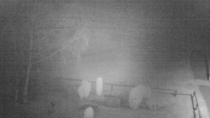 Horský hotel Čarták na Soláni - Ski Čarták Soláň - 12.2.2024 v 04:00 Horský hotel Čarták na Soláni - Ski Čarták Soláň - 12.2.2024 v 04:00