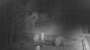 Horský hotel Čarták na Soláni - Ski Čarták Soláň - 12.2.2024 v 05:00 Horský hotel Čarták na Soláni - Ski Čarták Soláň - 12.2.2024 v 05:00