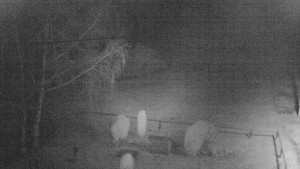 Horský hotel Čarták na Soláni - Ski Čarták Soláň - 12.2.2024 v 18:00 Horský hotel Čarták na Soláni - Ski Čarták Soláň - 12.2.2024 v 18:00