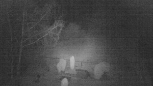 Horský hotel Čarták na Soláni - Ski Čarták Soláň - 1.3.2024 v 01:00 Horský hotel Čarták na Soláni - Ski Čarták Soláň - 1.3.2024 v 01:00