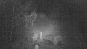 Horský hotel Čarták na Soláni - Ski Čarták Soláň - 1.3.2024 v 02:00 Horský hotel Čarták na Soláni - Ski Čarták Soláň - 1.3.2024 v 02:00