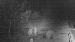 Horský hotel Čarták na Soláni - Ski Čarták Soláň - 1.3.2024 v 21:00 Horský hotel Čarták na Soláni - Ski Čarták Soláň - 1.3.2024 v 21:00