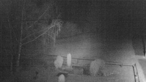 Horský hotel Čarták na Soláni - Ski Čarták Soláň - 1.3.2024 v 22:00 Horský hotel Čarták na Soláni - Ski Čarták Soláň - 1.3.2024 v 22:00