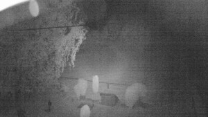 Horský hotel Čarták na Soláni - Ski Čarták Soláň - 16.5.2024 v 00:00 Horský hotel Čarták na Soláni - Ski Čarták Soláň - 16.5.2024 v 00:00