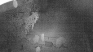 Horský hotel Čarták na Soláni - Ski Čarták Soláň - 16.5.2024 v 01:00 Horský hotel Čarták na Soláni - Ski Čarták Soláň - 16.5.2024 v 01:00