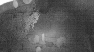 Horský hotel Čarták na Soláni - Ski Čarták Soláň - 16.5.2024 v 03:00 Horský hotel Čarták na Soláni - Ski Čarták Soláň - 16.5.2024 v 03:00