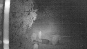 Horský hotel Čarták na Soláni - Ski Čarták Soláň - 10.7.2024 v 01:00 Horský hotel Čarták na Soláni - Ski Čarták Soláň - 10.7.2024 v 01:00