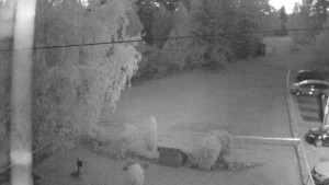 Horský hotel Čarták na Soláni - Ski Čarták Soláň - 10.7.2024 v 04:00 Horský hotel Čarták na Soláni - Ski Čarták Soláň - 10.7.2024 v 04:00