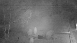 Horský hotel Čarták na Soláni - Ski Čarták Soláň - 15.11.2024 v 21:00 Horský hotel Čarták na Soláni - Ski Čarták Soláň - 15.11.2024 v 21:00