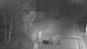 Horský hotel Čarták na Soláni - Ski Čarták Soláň - 15.11.2024 v 23:00 Horský hotel Čarták na Soláni - Ski Čarták Soláň - 15.11.2024 v 23:00