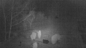 Horský hotel Čarták na Soláni - Ski Čarták Soláň - 19.3.2025 v 01:00 Horský hotel Čarták na Soláni - Ski Čarták Soláň - 19.3.2025 v 01:00