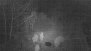 Horský hotel Čarták na Soláni - Ski Čarták Soláň - 19.3.2025 v 02:00 Horský hotel Čarták na Soláni - Ski Čarták Soláň - 19.3.2025 v 02:00