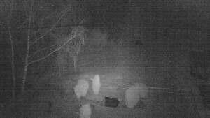 Horský hotel Čarták na Soláni - Ski Čarták Soláň - 19.3.2025 v 03:00 Horský hotel Čarták na Soláni - Ski Čarták Soláň - 19.3.2025 v 03:00