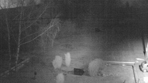 Horský hotel Čarták na Soláni - Ski Čarták Soláň - 19.3.2025 v 19:00 Horský hotel Čarták na Soláni - Ski Čarták Soláň - 19.3.2025 v 19:00