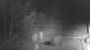 Horský hotel Čarták na Soláni - Ski Čarták Soláň - 19.3.2025 v 20:00 Horský hotel Čarták na Soláni - Ski Čarták Soláň - 19.3.2025 v 20:00